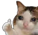 ophiOK