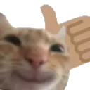 Catlike catlike Discord Emoji
