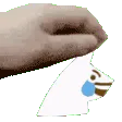 pet_therainycat