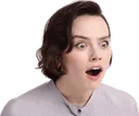 DaisyPog DaisyPog