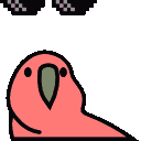 dealwithitparrot
