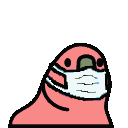 maskparrot