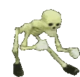 skeletwerk skeletwerk