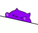 bongo_boi