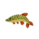 pike