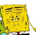 spongeyikes
