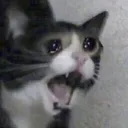 a_Scream