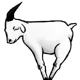 LC_X_Goat LC_X_Goat
