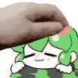 PatTheMelon