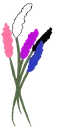 GenderfluidLavender