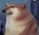 dogPain dogPain