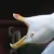 01_1bird_ree