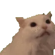 SCREE2