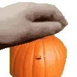 maximgood