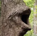 :LOGGERS: