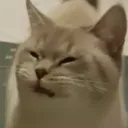 huh