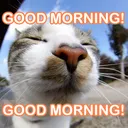 GOODMORNING