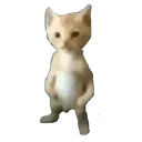 miguel