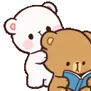 bearattention