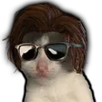 nopuncSteve