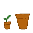 repot_plant