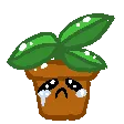 sad_plant