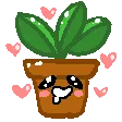 love_plant