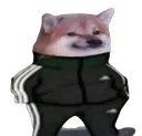 russian_sad_dog