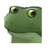 Bruhfrog Discord Emoji