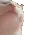 CatJam
