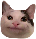 polite_cat Discord emoji