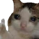 sad_thumbsup Discord emoji