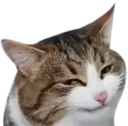 smugFucker