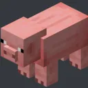 pig