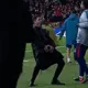 CholoCojones