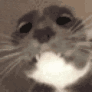 ch_indihome Discord emoji