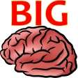 BigBrain