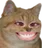 :ChatSmile: ChatSmile