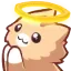 GatoCatolico