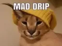 drippyaf