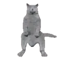 FunnyDancingCatREAL2
