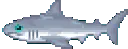 shork shork