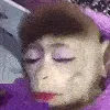 sassymonkey