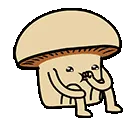 mushBreak