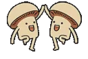 mushFive