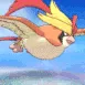 megapidgeot