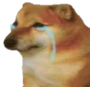 cheems_sad