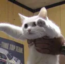 SClongcat3