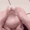 SCbingus2
