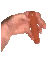 12g_sausage